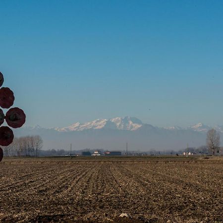 Appartamenti Matteotti 54 Biandrate Exteriör bild